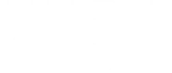 logo2